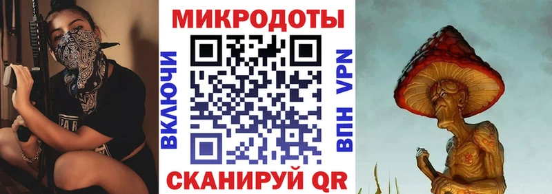 Купить где  Нерчинск  Псилоцибиновые грибы Psilocybe 